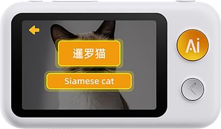 shot-cat